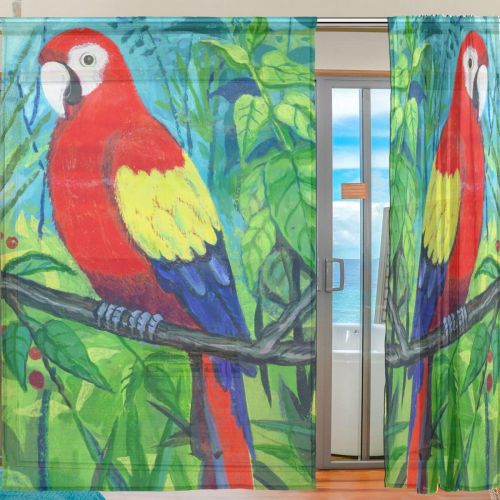  ALAZA Sheer Curtain Bird Parrot Art Painting Voile Tulle Window Curtain for Home Kitchen Bedroom Living Room 55x78 inches 2 panels
