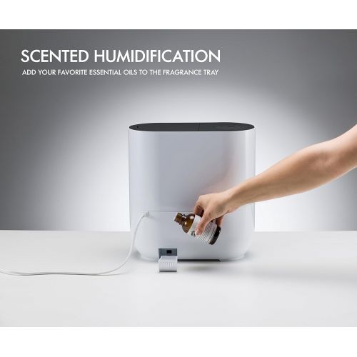  BONECO U330 Warm Mist Ultrasonic Humidifier-Top Fill, White