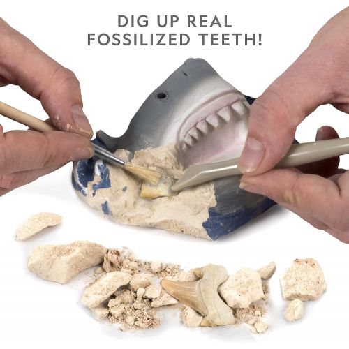 [아마존베스트]NATIONAL GEOGRAPHIC Shark Tooth Dig Kit - Excavate 3 real Shark Tooth Fossils including Sand Tiger, Otodus and Crow Shark - Great Science Gift for Marine Biology Enthusiasts of any