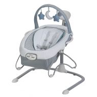 Graco Duet Sway LX Swing with Portable Bouncer, Alden