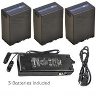 Kastar Battery 2 Pcs and Dual D-Tap Fast Charger for Sony BP-U90 BP-U95 BP-U96 BP-U60 BP-U65 BP-U66 BP-U68 BP-U30 BC-U1 BC-U2 Sony PMW-150P XDCAM EX HD422 PHU-60K PXW-Z450 PXW-Z190