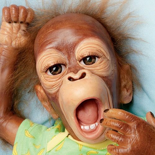  The Ashton-Drake Galleries Baby Orangutan Doll: Baby Zula by Ashton Drake