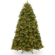 National Tree Company National Tree 7.5 ft. Newberry Spruce Clear Lights, Green