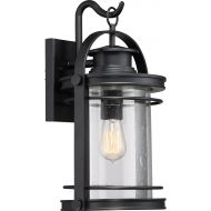 Quoizel BKR8410K Booker 1-Light Outdoor Lantern, Mystic Black
