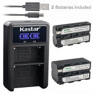 Kastar Battery + Dual Charger for Sony NP-F330 NP-F530 NP-F550 NP-F570 NP-F730 NP-F750 NP-F770 NP-F930 NP-F950 NP-F960 NP-F970 NP-F975 NP-F990 Sony DCR DSR HDR FDR HVR HVL Camcorde