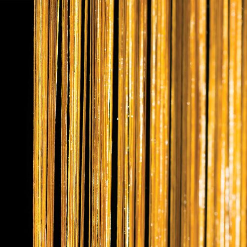  TCDesignerProducts Gold String Curtain Decoration, 6 1/2 Feet Wide x 10 Feet Long, 1,700 Strings Per Panel, Prom,...
