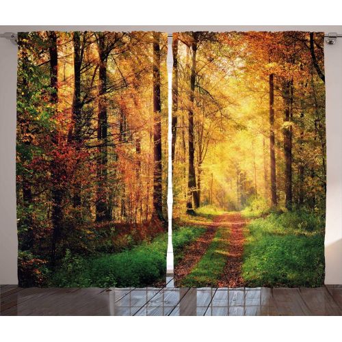  Modern Decor Curtains by Ambesonne, Autumn Forest Scenery with Rays of Warm Sun Lights on Shady Trees Woods Art, Living Room Bedroom Window Drapes 2 Panel Set, 108W X 63L Inches, Y