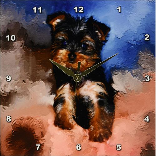 3dRose dpp_3868_3 Toy Yorkie Puppy Wall Clock, 15 by 15-Inch