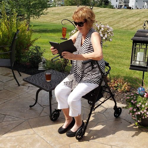  Carex Steel Rollator Walker with Seat and Wheels, Includes Back Support, Rolling Walker for Seniors and Those Needing Assistance Walking, Locking Handbrakes,...