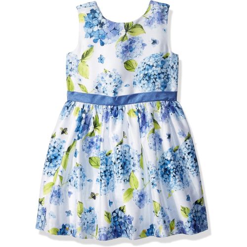 짐보리 Gymboree Baby Girls Sleveless Floral Print Dress