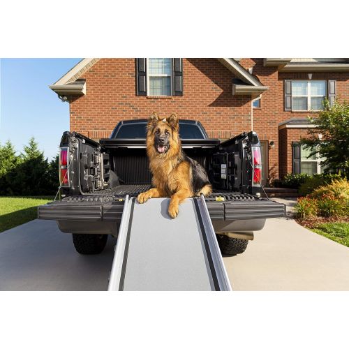  Solvit PetSafe Deluxe Extra-Long Telescoping Pet Ramp, Longer Length Dog Ramp for Steep Inclines