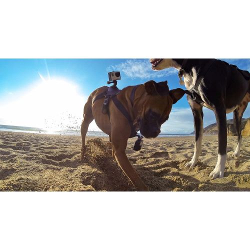 고프로 GoPro Fetch Dog Harness (GoPro Official Mount)