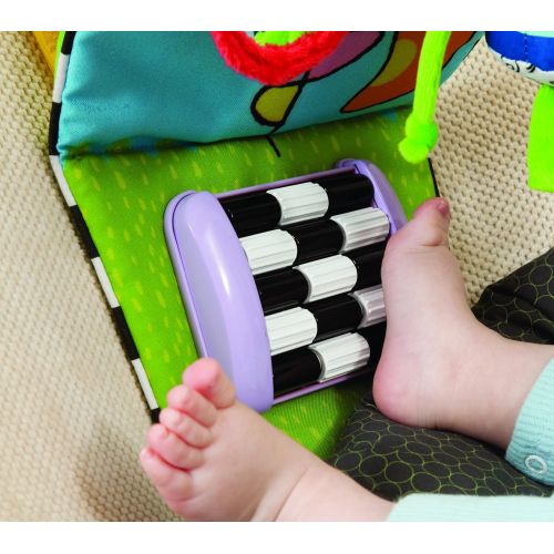  Taf Toys Feet Fun Infant Car Seat Toy.