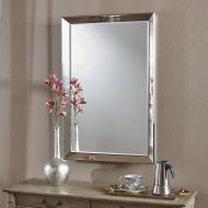 Christopher Knight Home Meriden Rectangular Wall Mirror, Clear and Stainless