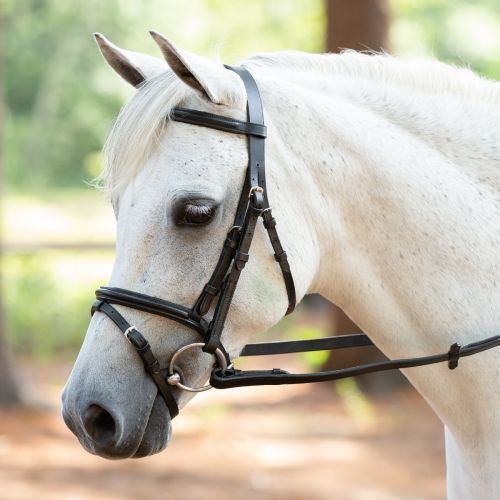  Smartpake Plymouth Dressage Bridle by SmartPak