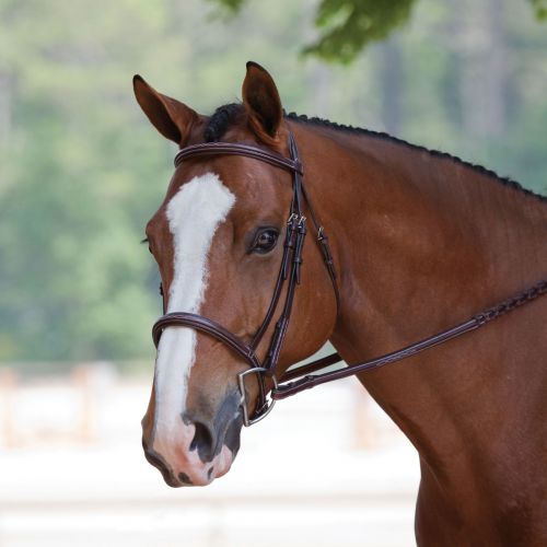  Smartpake Plymouth Elite Hunter Bridle by SmartPak