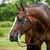 Smartpake Austin Collection Browband Headstall