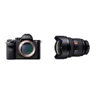 Sony Alpha 7S III Full-Frame Mirrorless Camera with Sony FE 12-24mm F2.8 G Master Full-Frame Constant-Aperture Ultra-Wide Zoom Lens