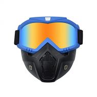 WYWY Snowboard Goggles Mask Snowmobile Skiing Goggles Windproof Motocross Protective Glasses Safety Goggles With Mouth Filter Outdoor Ski Snowboard Ski Goggles (Color : LFH)