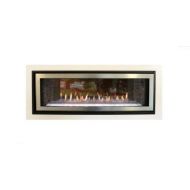 Empire Comfort Systems Boulevard I/O 48 DV Linear See-Thru Fireplace Package40 - LP