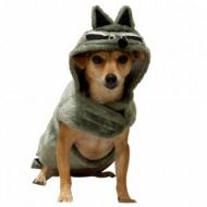 Trend Lab Halloween Raccoon Costume Small Dog