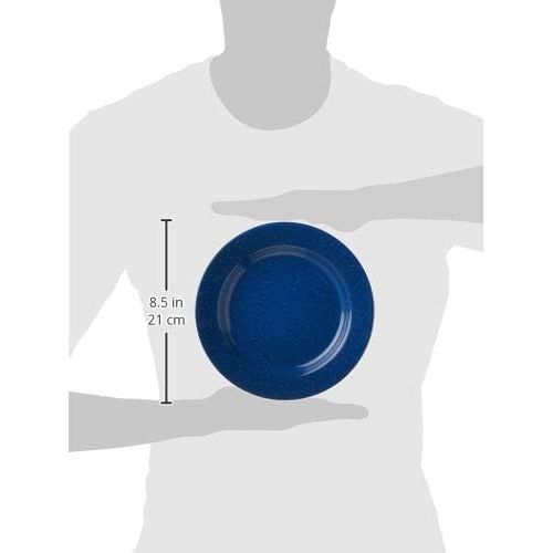 콜맨 Coleman 10 Enamelware Dinner Plate with Wide Rim (Blue)