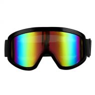 WYWY Snowboard Goggles Outdoor Windproof Skiing Glasses Professional Ski Goggles Layers Lens Anti-fog Men Women Snow Goggles 11 Colors Ski Goggles (Color : Style 1)