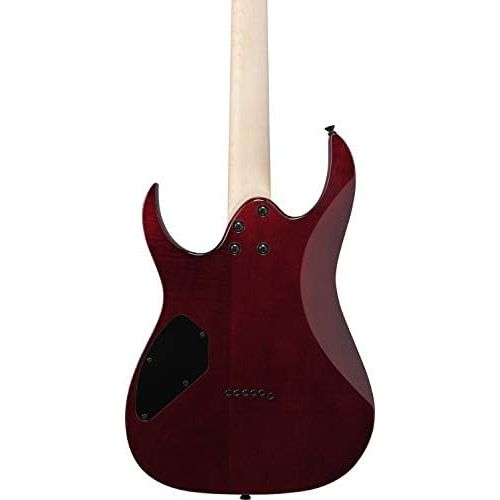  [아마존베스트]Ibanez GRGR221PA-AQB GIO Series Electric Guitar - Aqua Burst