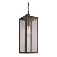 Trans Globe Lighting 40757 BK Oxford Outdoor Black Industrial Hanging Lantern, 19.5,