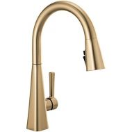 Delta Faucet Lenta Single-Handle Kitchen Sink Faucet with Pull Down Sprayer and Magnetic Docking Spray Head, Champagne Bronze 19802Z-CZ-DST