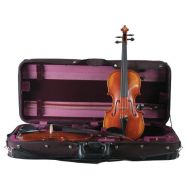 Guardian Cases Guardian CV-032 Double Violin Case