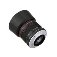 Lightdow 85mm F1.8 Medium Telephoto Manual Focus Full Frame Portrait Lens for Nikon D7500 D7200 D5600 D5500 D5300 D5200 D5100 D3500 D3400 D3300 D3200 D850 D810 D800 D750 D610 D500