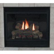 EMPIRE Deluxe 42 Direct-Vent NG Millivolt Fireplace