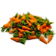 1shopforyou 20 Loose Carrots Vegetable Dollhouse Miniatures Rec No.6