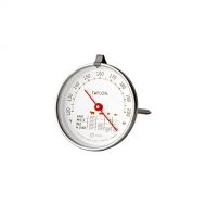 Taylor Precision Products 3 Inch Leave-in Meat/Roast Thermometer, 1 EA, Silver: Instant Read Thermometers: Kitchen & Dining