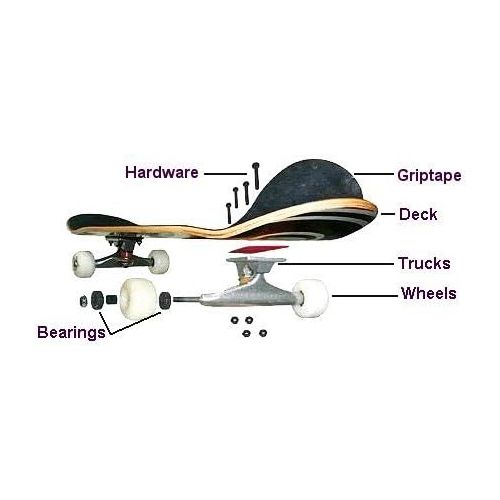  Almost Decks - Assembled AS Complete Skateboard - Ready to Ride Skateboard - Custom Built for You - or Choose just The Parts and DIY - Skateboarding Complete