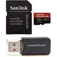 SanDisk 256GB Micro SDXC Memory Card Extreme Pro Works with GoPro Hero 8 Black, Max 360 Action Cam U3 V30 4K Class 10 (SDSQXCZ-256G-GN6MA) Bundle with 1 Everything But Stromboli Mi