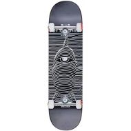 Toy Machine Skateboard Complete Deck Toy Division 8.0 Complete
