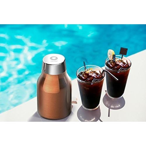  Asobu coldbrew tragbar Kaffeemaschine mit einem Vakuum Isoliert 40Oz Edelstahl 18/8Karaffe BPA-frei 40 silber