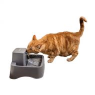 PetSafe Drinkwell Cat and Dog Water Fountain - Platinum, 1/2 or 1 Gallon Pet Drinking Fountain - 64 oz, 128 oz or 168 oz