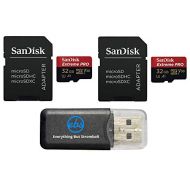 SanDisk 32GB Micro SDHC Extreme Pro Memory Card 2 Pack Works with GoPro Hero 8 Black, Max 360 Action Cam U3 V30 4K A1 Class 10 (SDSQXCG-032G-GN6MA) Bundle with 1 Everything But Str