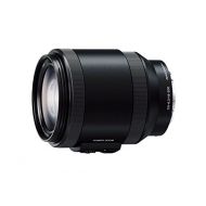 Sony SELP-18200 E-Mount 11x Zoom Lens