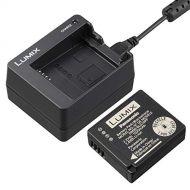 Panasonic DMW-ZSTRV Lumix Battery & External Charger Travel Pack, Black
