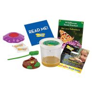 Insect Lore Live Cup of Caterpillars Deluxe