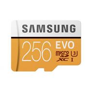 Samsung 256GB 100MB/s (U3) MicroSD Evo Memory Card with Adapter (MB-MP256GA/AM)