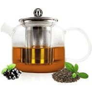 Sendez Teekanne mit Filter 500ml aus Edelstahl Teebereiter Glaskanne Teesieb Kanne Teefilter