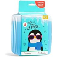 Fit & Fresh Cool Coolers Reusable Ice Packs, Set of 4, Clear