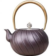 LJJSMG Tea Kettle, Japanese Cast Iron Tea Pot for Stove Top, Cast Iron Teapot Humidifier for Wood Stove, Tea Kettle Coated with Enameled Interior 1200 ml for Stovetop Safe Coated w