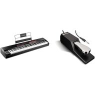 M-Audio Hammer 88 Pro - 88 Key USB MIDI Keyboard Controller With Piano Style Weighted Hammer & SP 2 - Universal Sustain Pedal with Piano Style Action For MIDI Keyboards, Digital Pianos & More