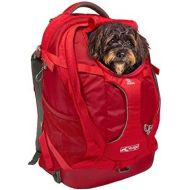 Kurgo Dog Carrier Backpack for Small Dogs & Cats | G-Train Pet Backpack Carrier | Airline Approved | Cat Backpack | Small Dog Backpack for Hiking & Travel | Lightweight | Waterproo